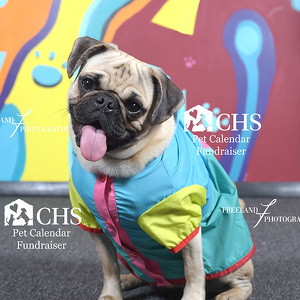 Fundraising Page: Lauren Steers